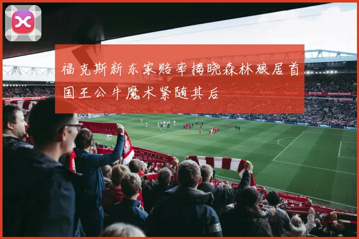 福克斯新东家赔率揭晓森林狼居首国王公牛魔术紧随其后